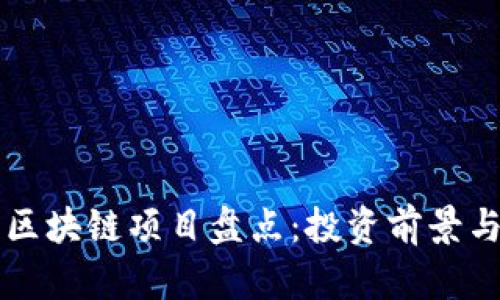 国内最大区块链项目盘点：投资前景与技术分析