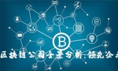 2023年中国区块链公司全景分析：领先企业与行业