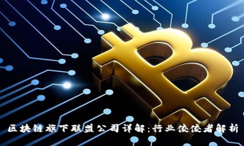 区块链旗下联盟公司详解：行业佼佼者解析