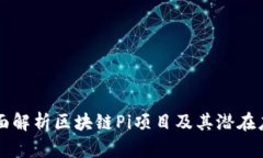 全面解析区块链Pi项目及其潜在应用