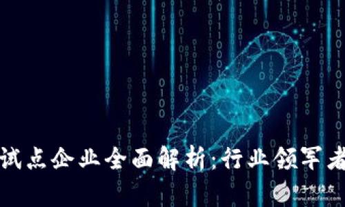 无锡区块链试点企业全面解析：行业领军者与优秀案例