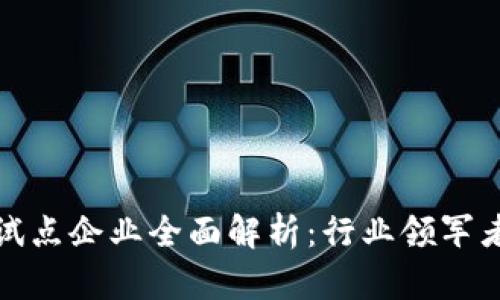 无锡区块链试点企业全面解析：行业领军者与优秀案例