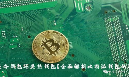 比特派钱包是冷钱包还是热钱包？全面解析比特派钱包的功能与安全性