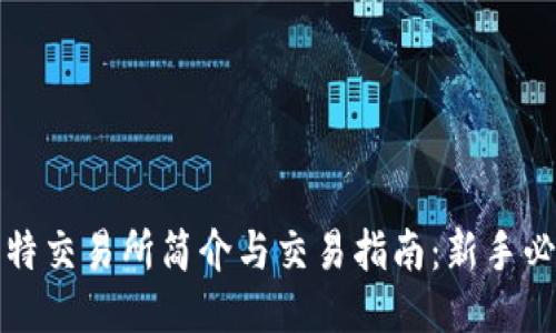 比特交易所简介与交易指南：新手必看