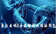 比特派钱包被盗能查出来吗？全面解析比特派钱
