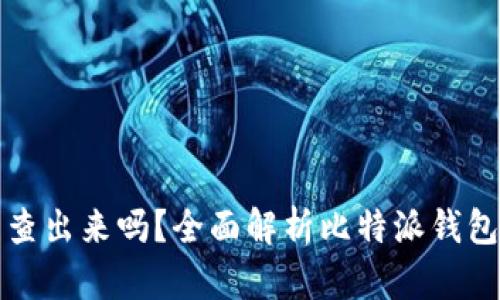 比特派钱包被盗能查出来吗？全面解析比特派钱包安全性与防护技巧