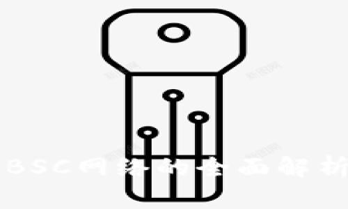 比特派支持BSC网络的全面解析及使用指南