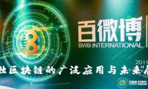 数独区块链的广泛应用与未来展望