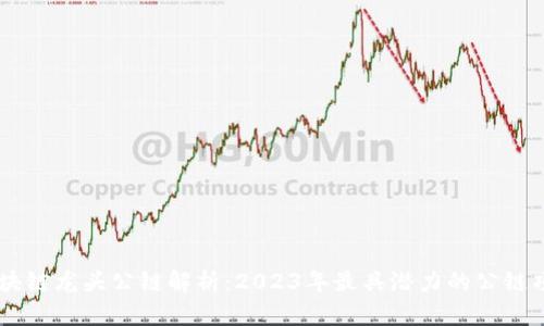 区块链龙头公链解析：2023年最具潜力的公链项目