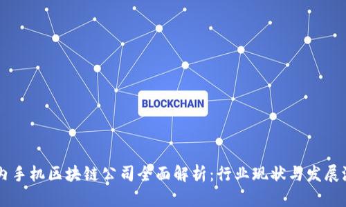 国内手机区块链公司全面解析：行业现状与发展潜力