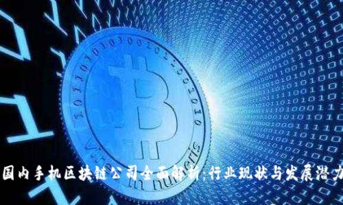 国内手机区块链公司全面解析：行业现状与发展潜力
