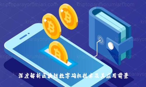 深度解析区块链数字确权技术及其应用前景
