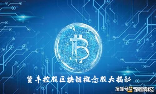 贤丰控股区块链概念股大揭秘