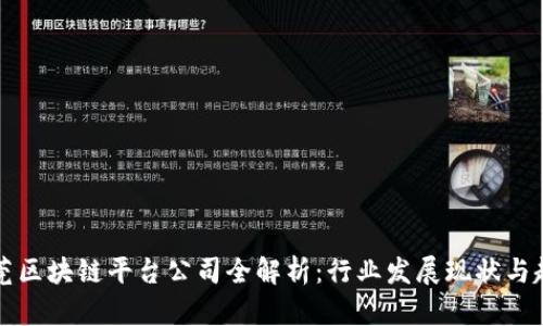 东莞区块链平台公司全解析：行业发展现状与趋势