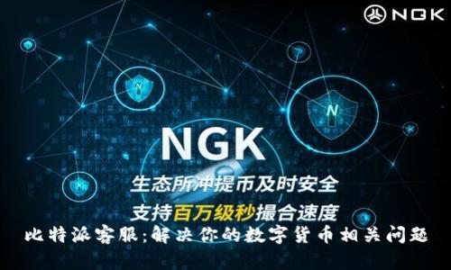 比特派客服：解决你的数字货币相关问题