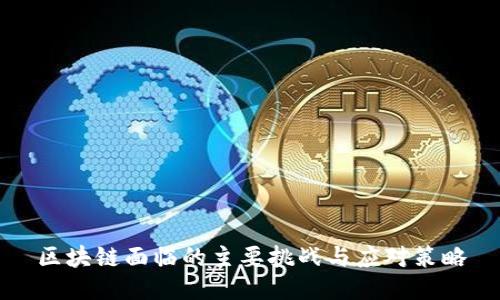 区块链面临的主要挑战与应对策略