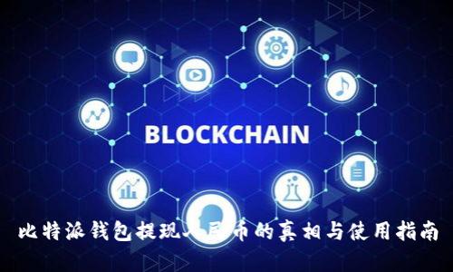 比特派钱包提现人民币的真相与使用指南