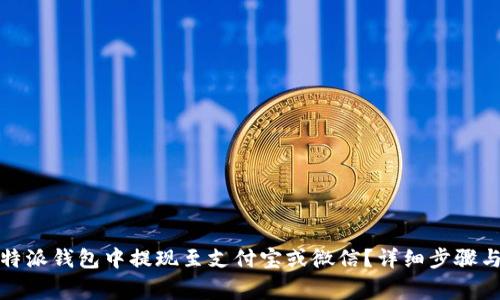 如何在比特派钱包中提现至支付宝或微信？详细步骤与注意事项