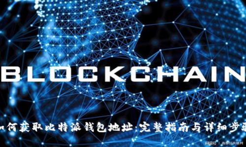 如何获取比特派钱包地址：完整指南与详细步骤