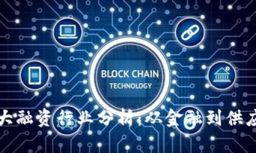 biali区块链最大融资行业分析：从金融到供应链的全景探讨