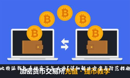 比特派钱包币被盗了怎么办？详细解决方案与防范措施