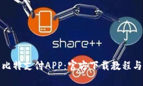 全面剖析比特支付APP：官方下载教程与使用技巧