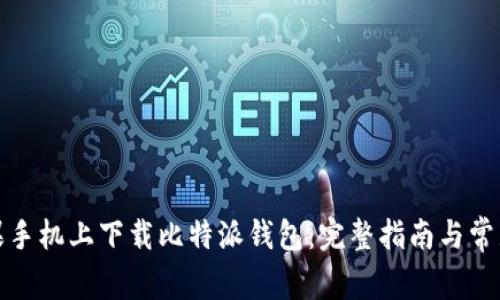 如何在苹果手机上下载比特派钱包：完整指南与常见问题解答