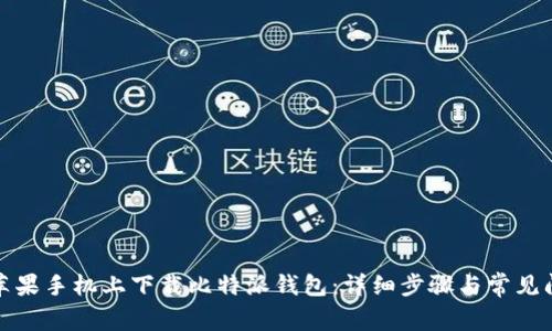 如何在苹果手机上下载比特派钱包：详细步骤与常见问题解答