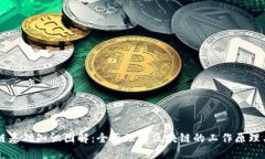区块链基础知识图解：全面理解区块链的工作原