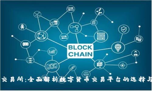 比特交易所：全面解析数字货币交易平台的选择与使用