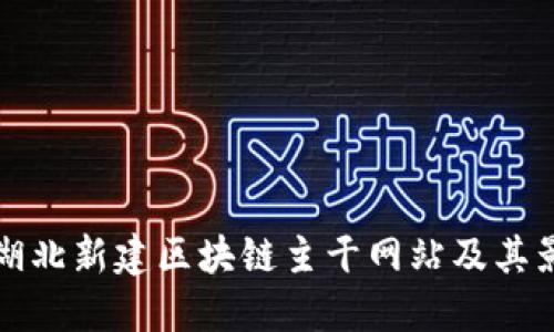 探索湖北新建区块链主干网站及其影响力