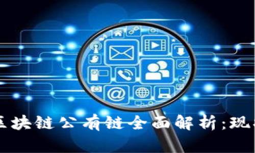 2023年中国区块链公有链全面解析：现状、趋势与应用