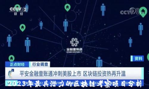 
2023年最具潜力的区块链考察项目分析