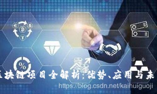 陈纯区块链项目全解析：优势、应用与未来展望
