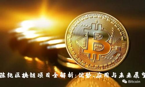 陈纯区块链项目全解析：优势、应用与未来展望