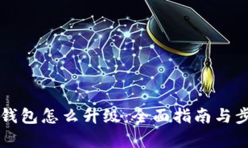 比特派钱包怎么升级：全面指南与步骤解析