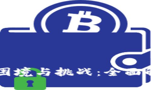 区块链监管的困境与挑战：全面解析与未来展望