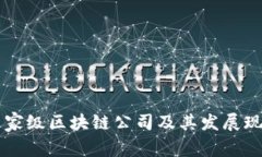 中国国家级区块链公司及其发展现状分析