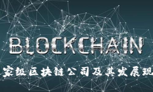 中国国家级区块链公司及其发展现状分析
