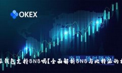 比特派钱包支持BNB吗？全面解析BNB与比特派的相