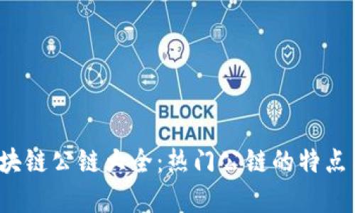 2023年区块链公链大全：热门公链的特点与应用分析