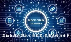 区块链行业领先公司推荐：前景与潜力分析