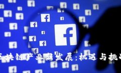 南阳区块链产业新发展：机遇与挑战并存