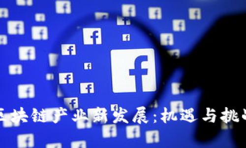 南阳区块链产业新发展：机遇与挑战并存