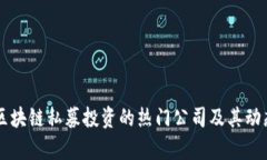 医疗区块链私募投资的热门公司及其动态分析