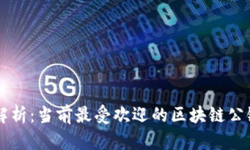 全面解析：当前最受欢迎的区块链公链平台