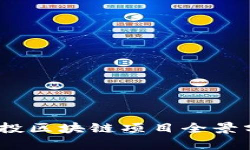 2023年上海创投区块链项目全景分析与发展趋势