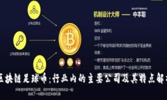 区块链足球币：行业内的主要公司及其特点解析