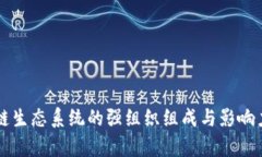 区块链生态系统的强组织组成与影响力分析