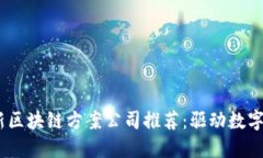 2023年最新区块链方案公司推荐：驱动数字经济的